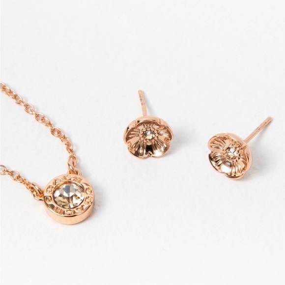 Coach Necklace and Earring Set - Picture 4 of 14